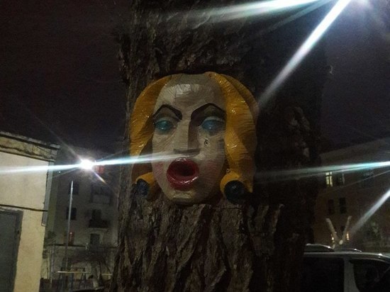 В центре Волгограда на дереве обнаружили женское лицо