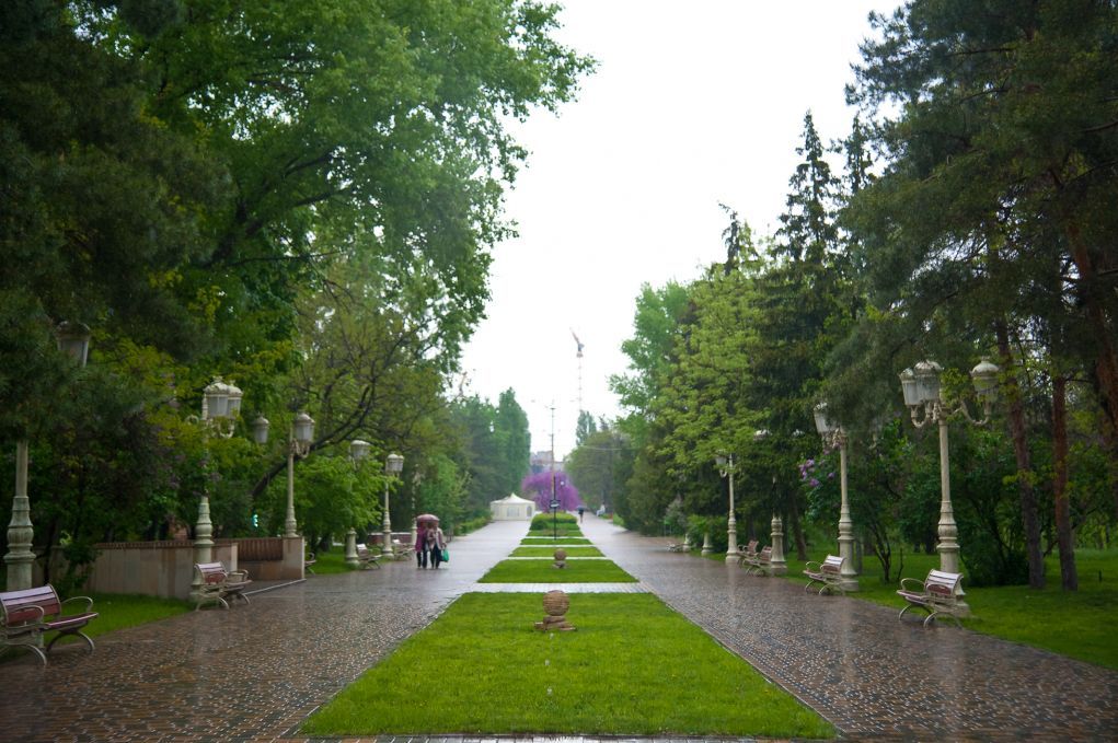 Волгоградские парки. ЦПКИО Волгоград. Центральный парк Волгоград. Парки Волгоград ЦПКИО. ЦПКИО Волгоград парк культуры.